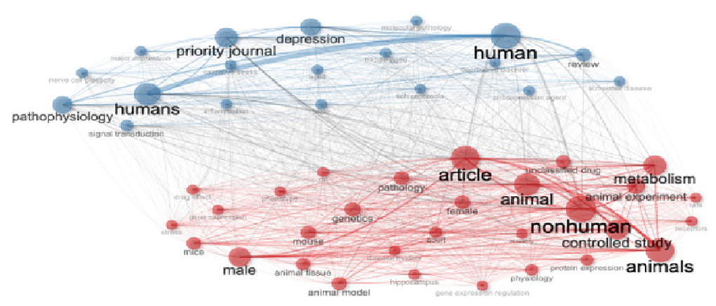 Co-occurrence network for molecular mechanisms and pathophysiology of anxiety and depression.