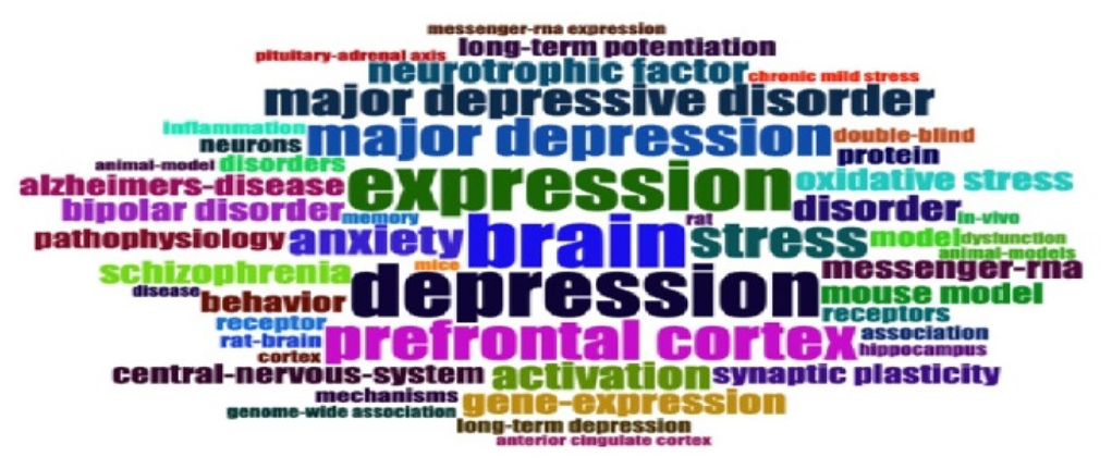 Word cloud for molecular mechanisms and pathophysiology of anxiety and depression.