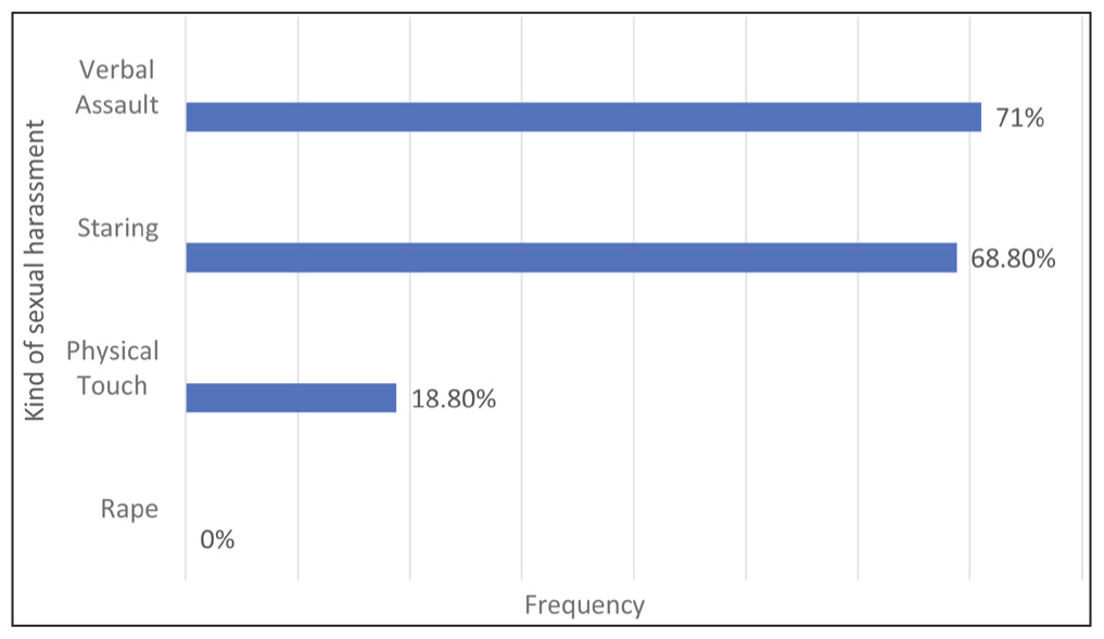 What kind of sexual harassment have you faced? (n = 100, multiple options considered).